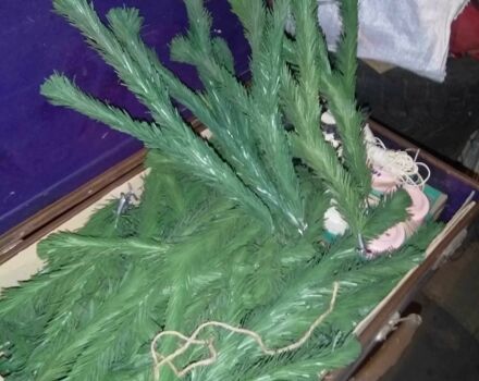 Вайпер Інша, об'ємом двигуна 80 л та пробігом 0 тис. км за 61 $, фото 6 на Automoto.ua