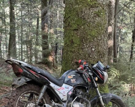 Вайпер Другая, объемом двигателя 0.2 л и пробегом 0 тыс. км за 700 $, фото 2 на Automoto.ua