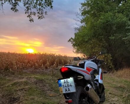 Вайпер Другая, объемом двигателя 0.25 л и пробегом 0 тыс. км за 750 $, фото 2 на Automoto.ua