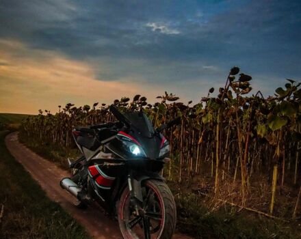 Вайпер Другая, объемом двигателя 0.25 л и пробегом 0 тыс. км за 1300 $, фото 1 на Automoto.ua