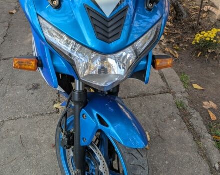 Вайпер Другая, объемом двигателя 0.25 л и пробегом 0 тыс. км за 900 $, фото 11 на Automoto.ua