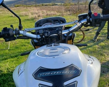 Вайпер Інша, об'ємом двигуна 0.25 л та пробігом 0 тис. км за 1581 $, фото 1 на Automoto.ua