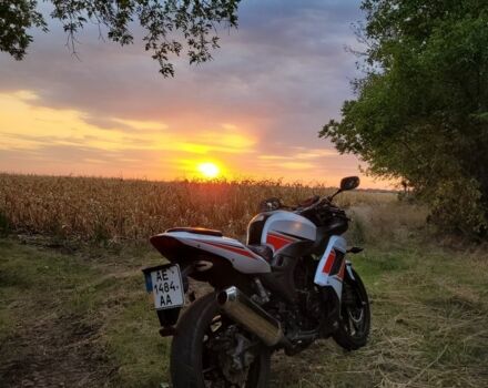 Вайпер Другая, объемом двигателя 0.25 л и пробегом 0 тыс. км за 750 $, фото 1 на Automoto.ua