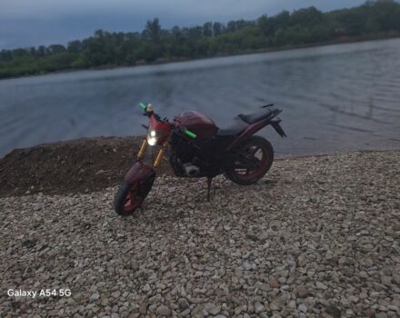 Вайпер Другая, объемом двигателя 0.25 л и пробегом 0 тыс. км за 700 $, фото 8 на Automoto.ua