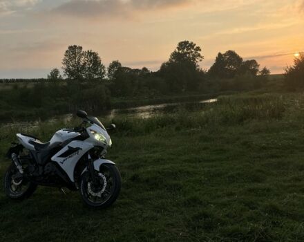 Вайпер Другая, объемом двигателя 0.2 л и пробегом 0 тыс. км за 1088 $, фото 3 на Automoto.ua