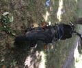 Вайпер Другая, объемом двигателя 0.13 л и пробегом 0 тыс. км за 170 $, фото 2 на Automoto.ua