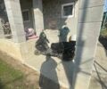 Вайпер Другая, объемом двигателя 0 л и пробегом 0 тыс. км за 97 $, фото 1 на Automoto.ua