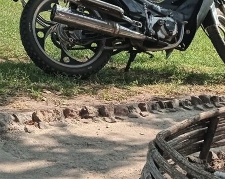 Вайпер Інша, об'ємом двигуна 0.11 л та пробігом 0 тис. км за 606 $, фото 2 на Automoto.ua