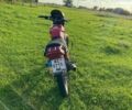 Вайпер Інша, об'ємом двигуна 0.15 л та пробігом 0 тис. км за 485 $, фото 4 на Automoto.ua