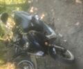 Вайпер Інша, об'ємом двигуна 80 л та пробігом 0 тис. км за 146 $, фото 4 на Automoto.ua