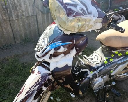 Вайпер Інша, об'ємом двигуна 0.13 л та пробігом 0 тис. км за 250 $, фото 2 на Automoto.ua