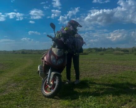 Вайпер Другая, объемом двигателя 80 л и пробегом 0 тыс. км за 13500 $, фото 1 на Automoto.ua