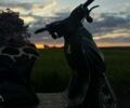 Вайпер Другая, объемом двигателя 49 л и пробегом 0 тыс. км за 158 $, фото 3 на Automoto.ua