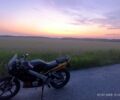 Вайпер Інша, об'ємом двигуна 0.2 л та пробігом 0 тис. км за 461 $, фото 1 на Automoto.ua