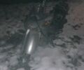 Вайпер Другая, объемом двигателя 80 л и пробегом 0 тыс. км за 7000 $, фото 1 на Automoto.ua