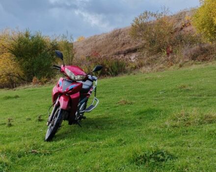 Вайпер Інша, об'ємом двигуна 0 л та пробігом 0 тис. км за 238 $, фото 1 на Automoto.ua