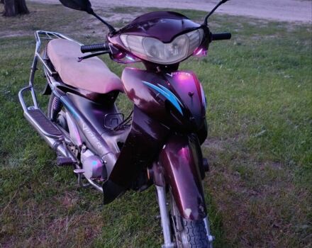 Вайпер Інша, об'ємом двигуна 0.13 л та пробігом 0 тис. км за 250 $, фото 1 на Automoto.ua