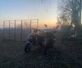 Вайпер Другая, объемом двигателя 80 л и пробегом 0 тыс. км за 13500 $, фото 2 на Automoto.ua