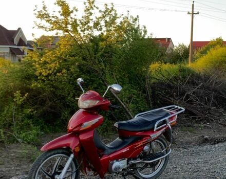 Вайпер Інша, об'ємом двигуна 49 л та пробігом 0 тис. км за 278 $, фото 3 на Automoto.ua