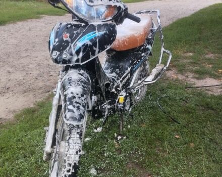 Вайпер Інша, об'ємом двигуна 0.11 л та пробігом 0 тис. км за 412 $, фото 1 на Automoto.ua