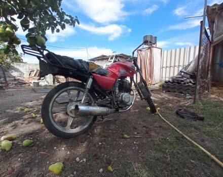 Вайпер Другая, объемом двигателя 0.2 л и пробегом 0 тыс. км за 191 $, фото 2 на Automoto.ua