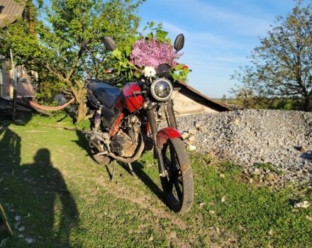 Вайпер Інша, об'ємом двигуна 0.15 л та пробігом 0 тис. км за 476 $, фото 1 на Automoto.ua