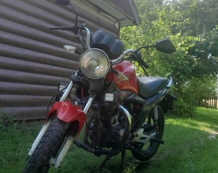 Вайпер Другая, объемом двигателя 0 л и пробегом 0 тыс. км за 582 $, фото 1 на Automoto.ua