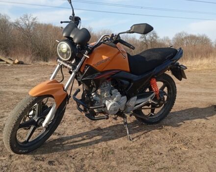 Вайпер Інша, об'ємом двигуна 0.2 л та пробігом 0 тис. км за 666 $, фото 7 на Automoto.ua