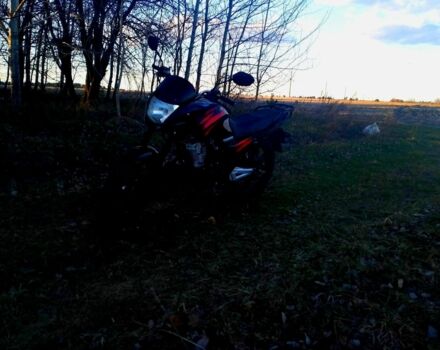 Вайпер Другая, объемом двигателя 0.15 л и пробегом 0 тыс. км за 568 $, фото 2 на Automoto.ua