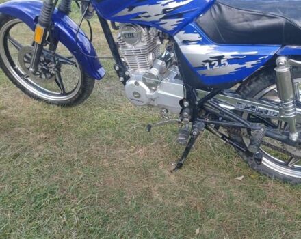 Вайпер Другая, объемом двигателя 0.13 л и пробегом 0 тыс. км за 620 $, фото 5 на Automoto.ua