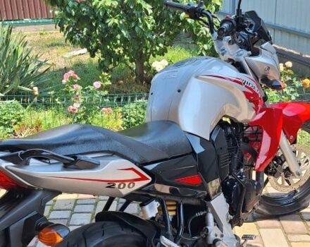 Вайпер Інша, об'ємом двигуна 0.2 л та пробігом 0 тис. км за 969 $, фото 4 на Automoto.ua