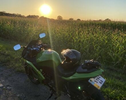 Вайпер Інша, об'ємом двигуна 0.2 л та пробігом 0 тис. км за 1250 $, фото 3 на Automoto.ua