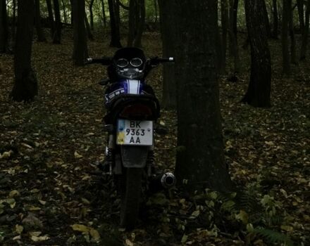 Вайпер Другая, объемом двигателя 0.15 л и пробегом 0 тыс. км за 730 $, фото 4 на Automoto.ua