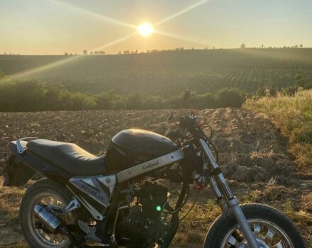 Вайпер Другая, объемом двигателя 0.15 л и пробегом 0 тыс. км за 411 $, фото 3 на Automoto.ua