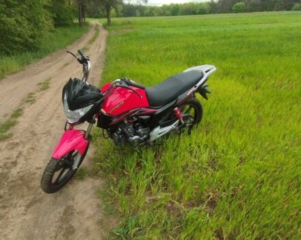 Вайпер Інша, об'ємом двигуна 0.2 л та пробігом 0 тис. км за 700 $, фото 7 на Automoto.ua