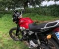 Вайпер Другая, объемом двигателя 0.15 л и пробегом 0 тыс. км за 654 $, фото 2 на Automoto.ua