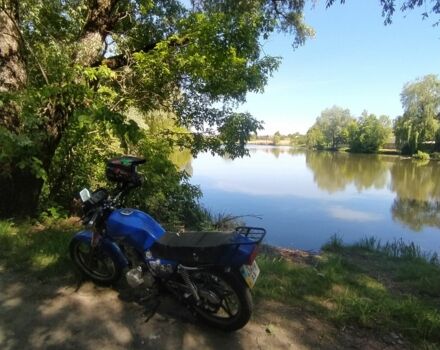 Вайпер Інша, об'ємом двигуна 0.15 л та пробігом 0 тис. км за 19000 $, фото 9 на Automoto.ua