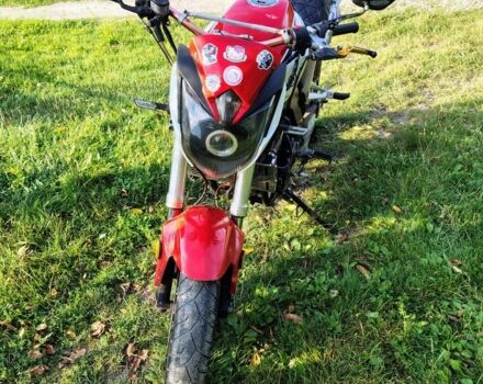 Вайпер Інша, об'ємом двигуна 0.25 л та пробігом 0 тис. км за 595 $, фото 5 на Automoto.ua