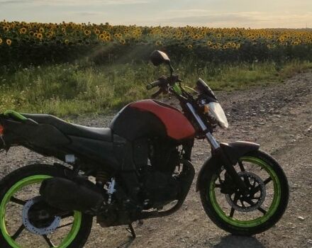 Вайпер Другая, объемом двигателя 0.2 л и пробегом 0 тыс. км за 520 $, фото 6 на Automoto.ua