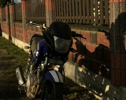 Вайпер Другая, объемом двигателя 0.15 л и пробегом 0 тыс. км за 730 $, фото 3 на Automoto.ua