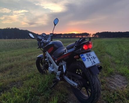 Вайпер Інша, об'ємом двигуна 0.2 л та пробігом 0 тис. км за 1300 $, фото 2 на Automoto.ua