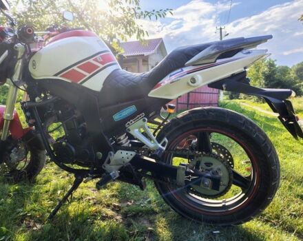 Вайпер Інша, об'ємом двигуна 0.25 л та пробігом 0 тис. км за 595 $, фото 3 на Automoto.ua