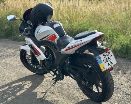 Вайпер Інша, об'ємом двигуна 0.25 л та пробігом 0 тис. км за 1250 $, фото 4 на Automoto.ua