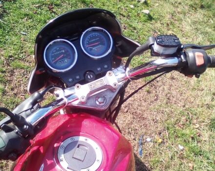 Вайпер Другая, объемом двигателя 0.15 л и пробегом 0 тыс. км за 357 $, фото 1 на Automoto.ua