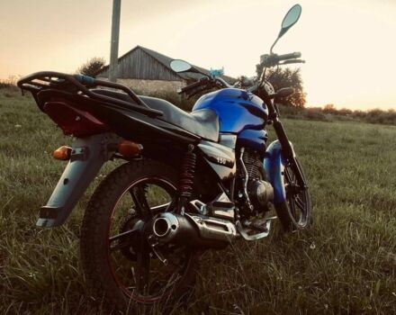 Вайпер Інша, об'ємом двигуна 0.15 л та пробігом 0 тис. км за 388 $, фото 2 на Automoto.ua