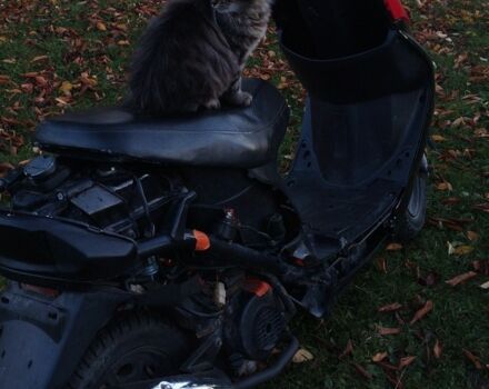 Вайпер Другая, объемом двигателя 80 л и пробегом 0 тыс. км за 300 $, фото 3 на Automoto.ua