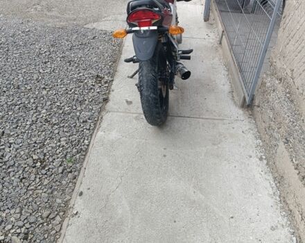 Вайпер Другая, объемом двигателя 0.2 л и пробегом 0 тыс. км за 649 $, фото 5 на Automoto.ua