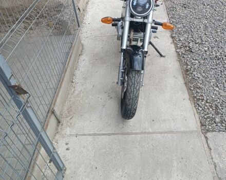 Вайпер Другая, объемом двигателя 0.2 л и пробегом 0 тыс. км за 649 $, фото 3 на Automoto.ua