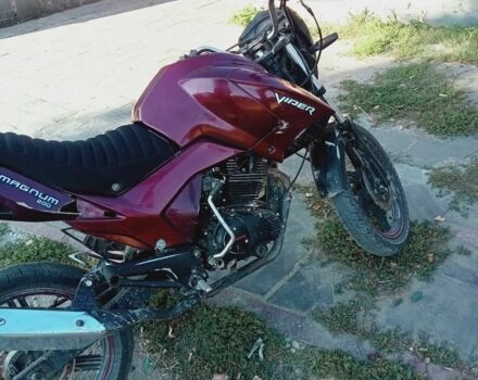 Вайпер Другая, объемом двигателя 0.2 л и пробегом 0 тыс. км за 478 $, фото 1 на Automoto.ua