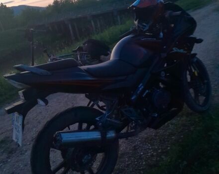 Вайпер Інша, об'ємом двигуна 0.2 л та пробігом 0 тис. км за 606 $, фото 3 на Automoto.ua
